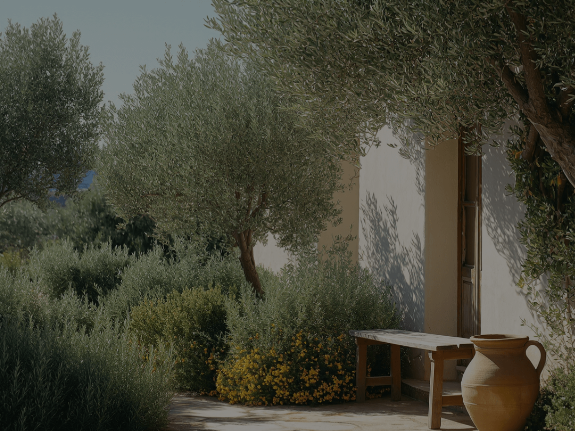 pastis&olive_jardin
