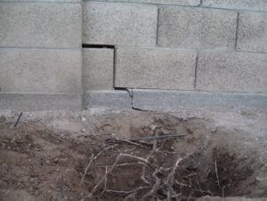 découvrez comment une assurance peut vous protéger contre les dommages causés par les racines d'arbres. informez-vous sur les garanties, les solutions et les conseils pour éviter des problèmes coûteux liés aux racines envahissantes.