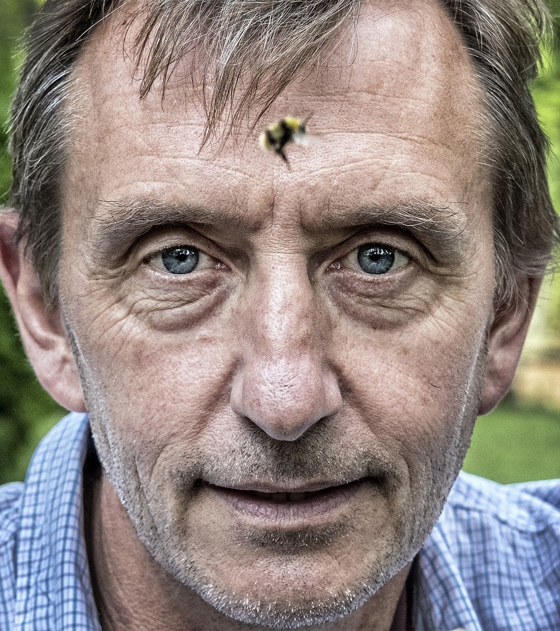 découvrez comment les assurances couvrent les dommages causés par les racines des arbres. protégez votre propriété des réparations coûteuses et apprenez à choisir la meilleure police d'assurance pour votre situation.