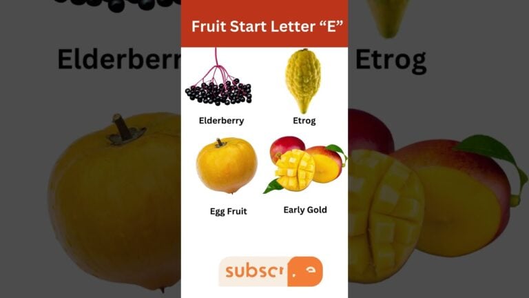 découvrez notre sélection de fruits frais et savoureux. profitez de conseils nutritionnels, de recettes délicieuses et d'astuces pour intégrer les fruits dans votre alimentation quotidienne. idéal pour les amateurs de healthy food !