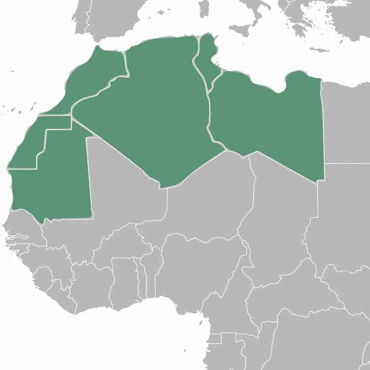 découvrez notre guide complet sur le voyage au maghreb et en méditerranée. explorez les meilleures destinations, la culture fascinante, la gastronomie savoureuse et des conseils pratiques pour vivre une expérience inoubliable dans cette région riche en histoire et en paysages enchanteurs.