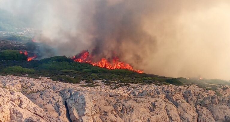 découvrez les dernières informations sur l'incendie à marseille, les mesures de sécurité mises en place et les actions des pompiers pour maîtriser la situation. suivez l'évolution des événements et les impacts sur la ville.