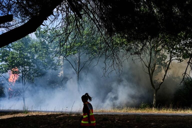 découvrez les dernières informations et analyses sur les incendies dans le gard et l'aude. restez informé sur la situation actuelle, les efforts de lutte contre le feu, et les mesures de sécurité mises en place pour protéger les habitants et l'environnement.