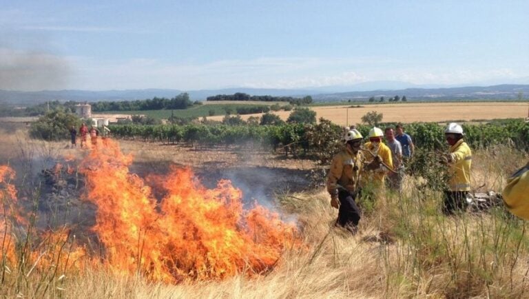 découvrez les dernières informations sur les incendies stabilisés, leur impact sur l'environnement et les efforts déployés pour la réhabilitation des zones touchées. restez informés des avancées dans la lutte contre les feux de forêt et des mesures de prévention mises en place.
