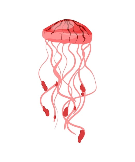 découvrez la méduse trompeuse, une créature marine intrigante aux couleurs fascinantes. apprenez-en plus sur ses caractéristiques, son habitat et son rôle dans l'écosystème océanique.