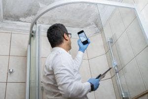 découvrez des solutions efficaces pour éliminer la moisissure du plafond de votre salle de bain. apprenez à prévenir son apparition et à maintenir un environnement sain et esthétique dans votre espace humide.
