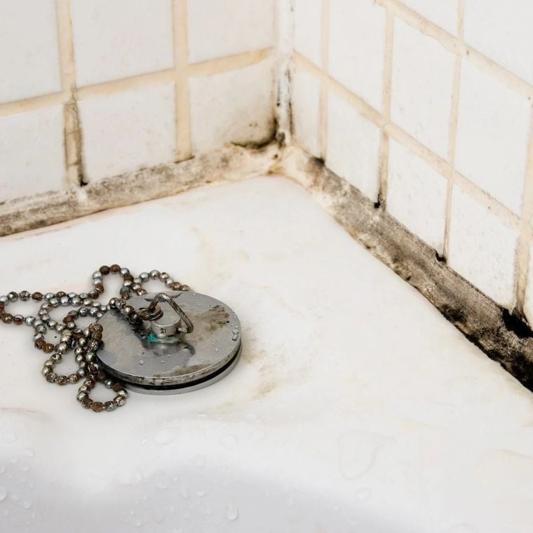 découvrez comment identifier et éliminer efficacement la moisissure sur le plafond de votre salle de bain. suivez nos conseils pratiques pour maintenir un environnement sain et agréable dans votre espace de vie.