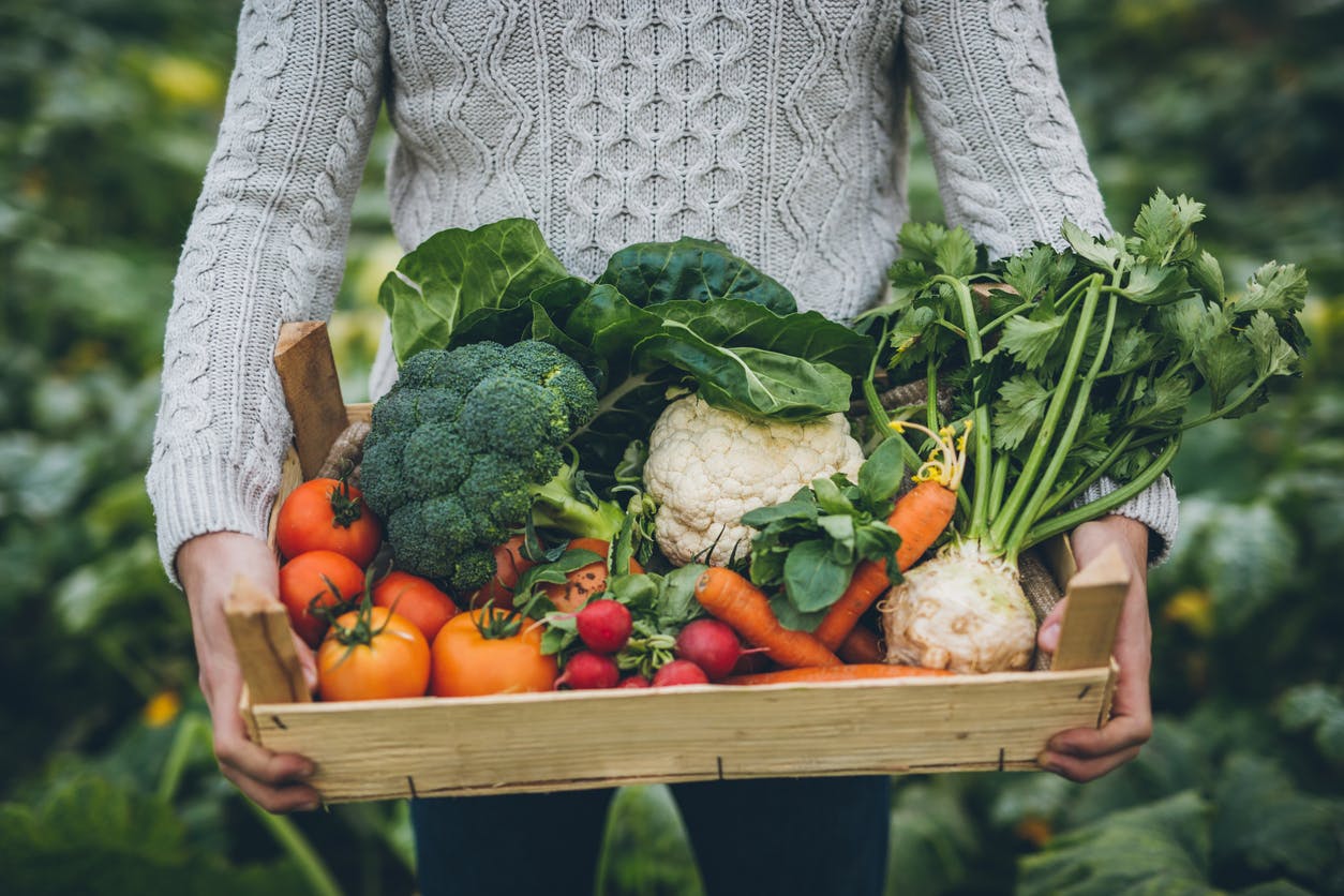 découvrez comment préparer vos récoltes de légumes pour le printemps afin d'obtenir une production abondante. suivez nos conseils sur la sélection des semences, l'entretien du sol et les meilleures pratiques de jardinage pour profiter d'un potager florissant.