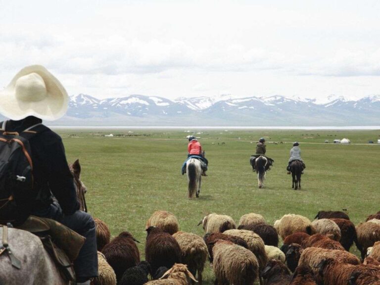 découvrez l'essence du monde avec un voyage authentique qui vous plonge dans des cultures et des paysages uniques. vivez des expériences inoubliables, loin des sentiers battus, et créez des souvenirs mémorables.