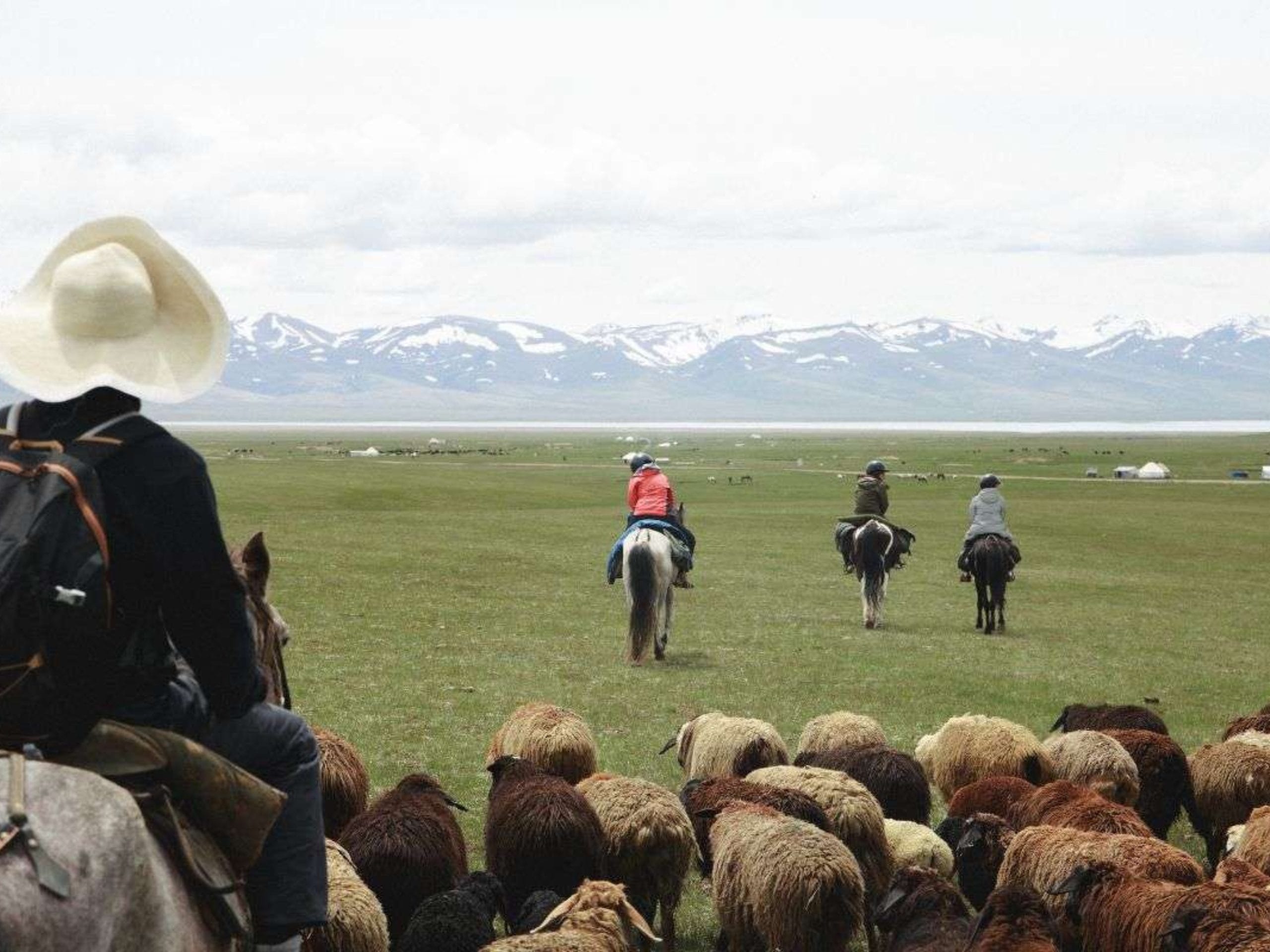 découvrez l'essence du monde avec un voyage authentique qui vous plonge dans des cultures et des paysages uniques. vivez des expériences inoubliables, loin des sentiers battus, et créez des souvenirs mémorables.