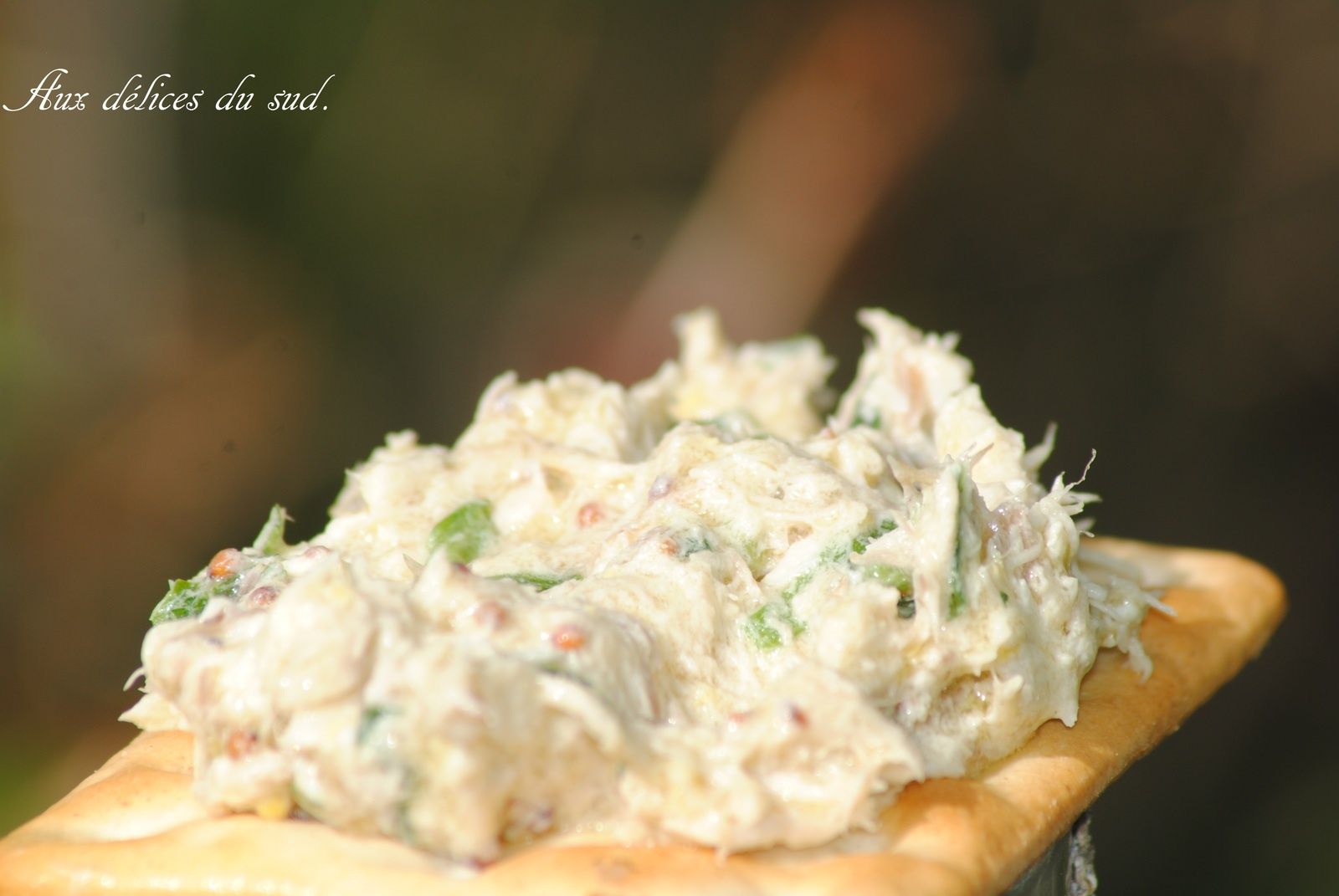 découvrez comment préparer des rillettes de maquereau rapides et savoureuses, parfaites pour un apéritif gourmand ou une entrée fraîche et facile à réaliser en quelques minutes.