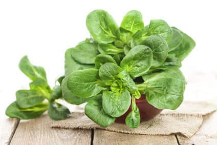 découvrez les bienfaits de la mâche : une salade riche en vitamines, minéraux et antioxydants, idéale pour renforcer le système immunitaire, améliorer la digestion et favoriser la santé cardiaque.