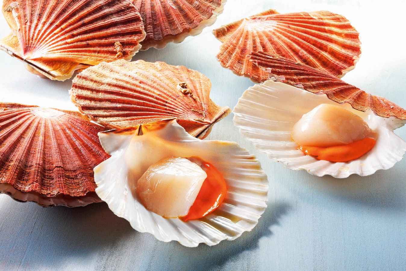 découvrez les différences entre les coquilles saint-jacques de bretagne et de normandie : terroirs, saveurs, modes de pêche et astuces pour bien choisir votre produit préféré.