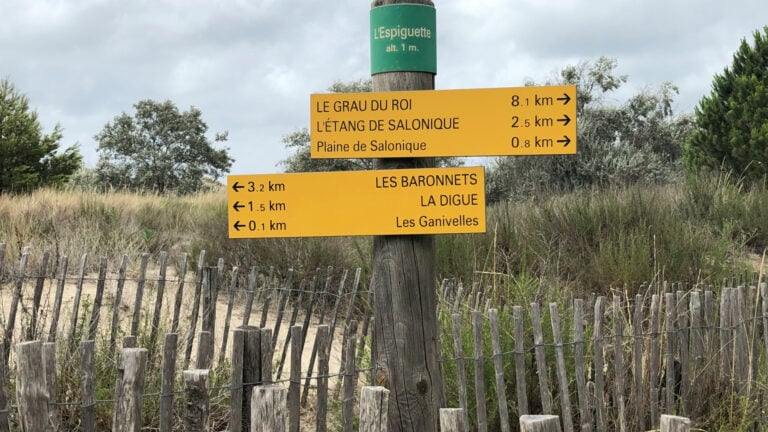 Le Grau du Roi : une destination idéale pour des vacances en Camargue