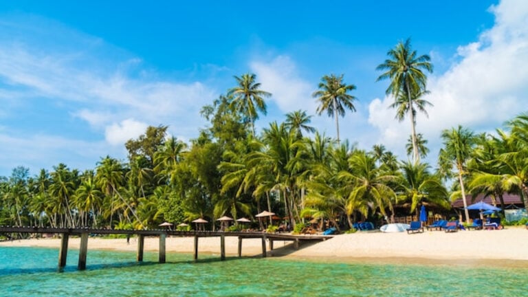 Séjour en République Dominicaine : entre plages de sable fin et aventures tropicales !